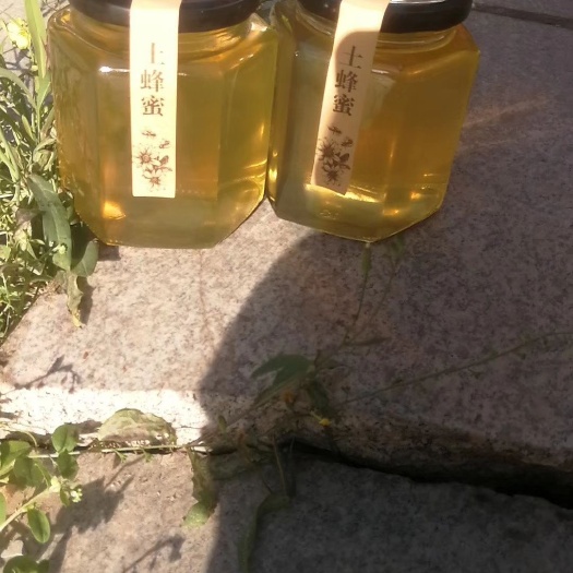 盖州市东北槐花蜜