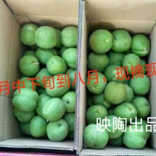 邢台 河北邢台辽系纸皮核桃支持电商平台，一件代发