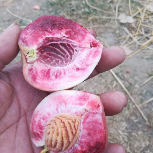 随县 血桃