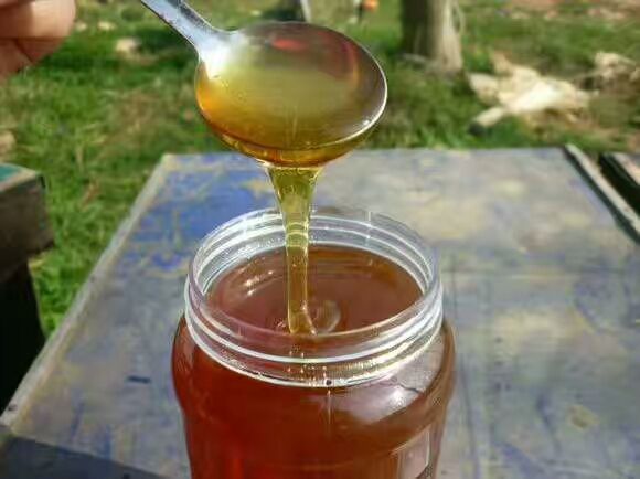 天然枣花蜂蜜，自家的养蜂场