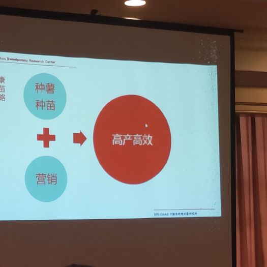 邵武市 纯红薯淀粉，18组旋流工艺，全自动生产设备