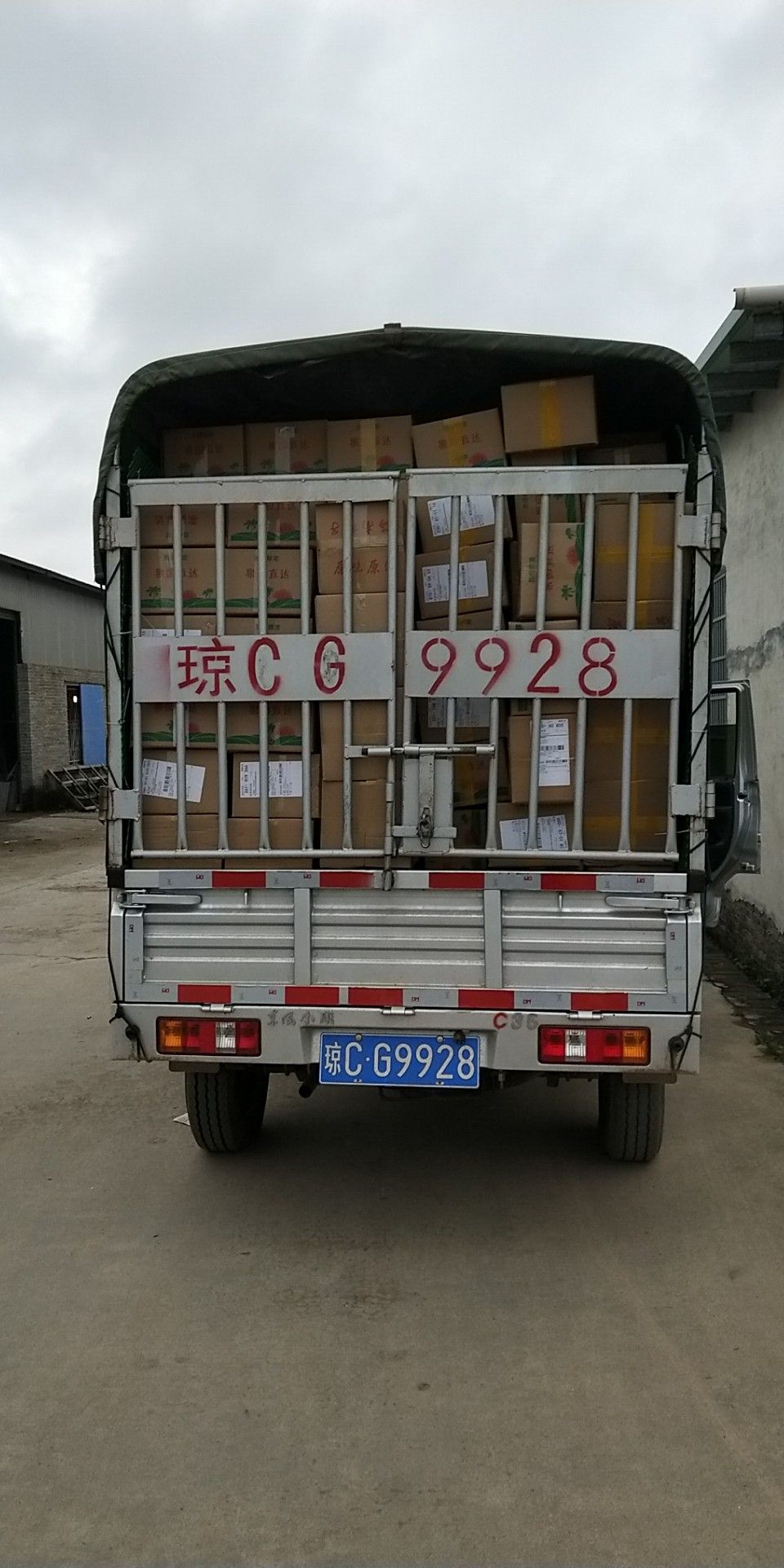 菠萝蜜（海南马来1号），单个包邮！10-45斤，规格多