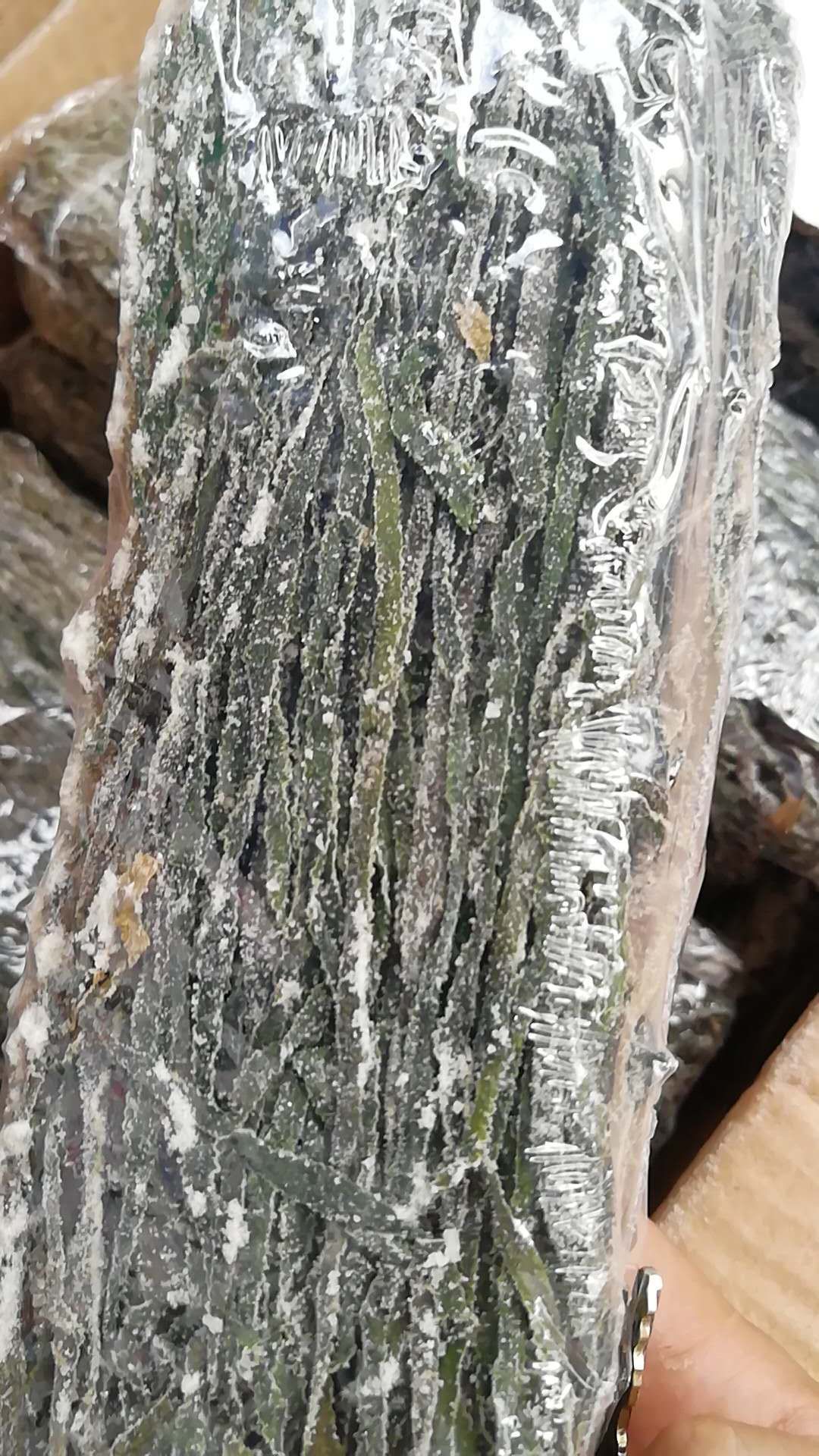 批发烘干盐渍海带丝藻类干货干海带丝跑江湖摆地摊地货源