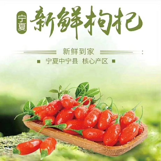 中宁县红枸杞  宁夏中宁2024年鲜果枸杞一斤70，两斤130全国