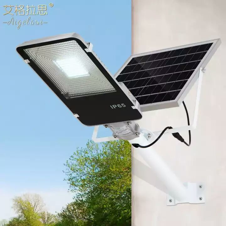太阳能灯 自动太阳能路灯 带遥控 带蓄电池 庭院风景区养殖场照明