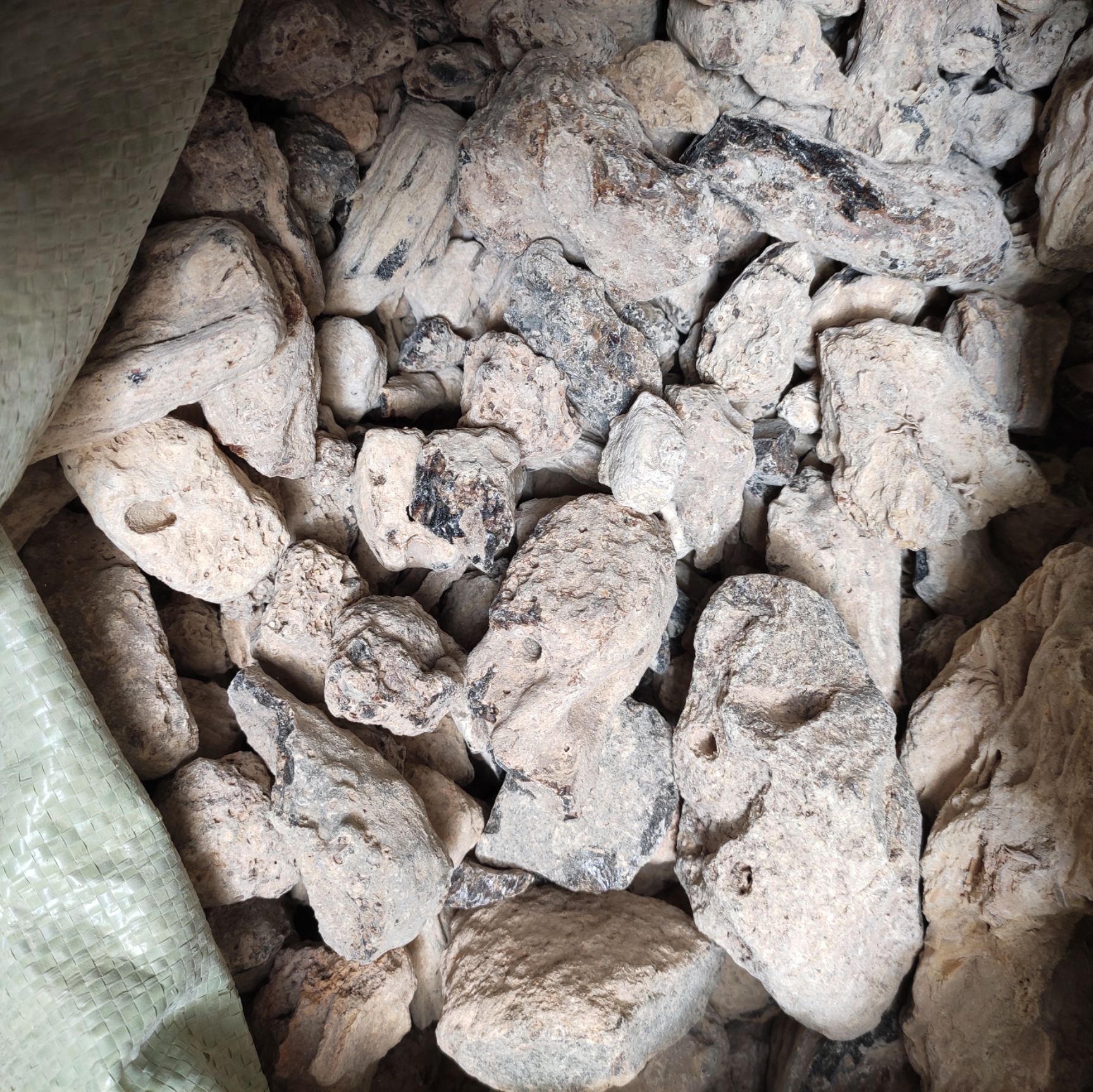 琥珀 中药材 正品保证 包邮