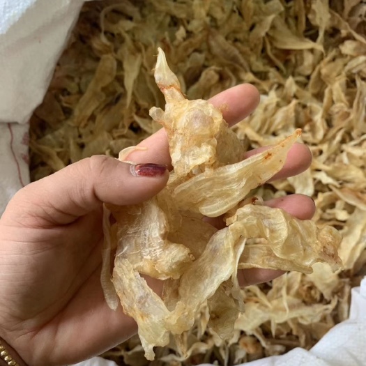 阳江鱼胶 野生小黄花胶，足干，最畅销的货！物有所值！花胶养血养颜，