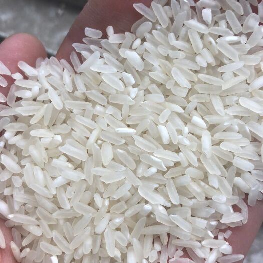 贵阳稻花香二号大米 一等品 一季稻 粳米