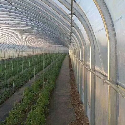 天津钢管大棚 大棚管生产厂家，一站式服务