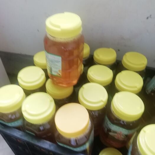 赣州 土蜂蜜离心机摇取