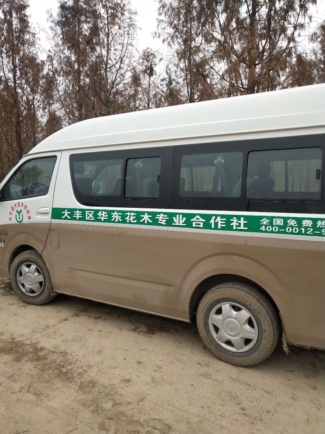  速生401中山杉小苗繁殖地   中山杉价格新闻