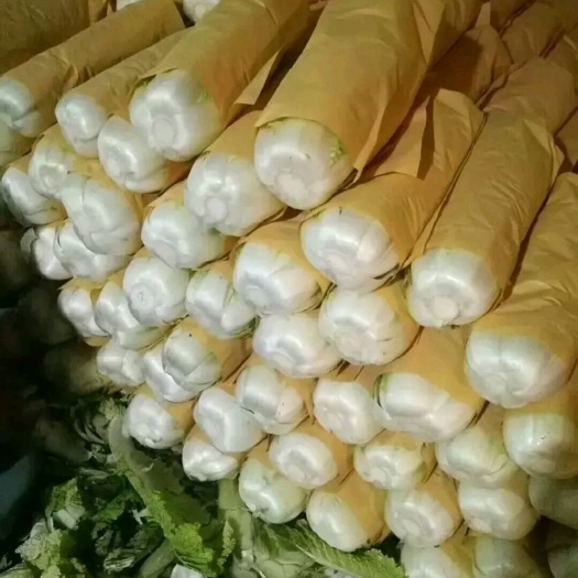 长阳县黄心大白菜   黄心菜，精品打冷菜！