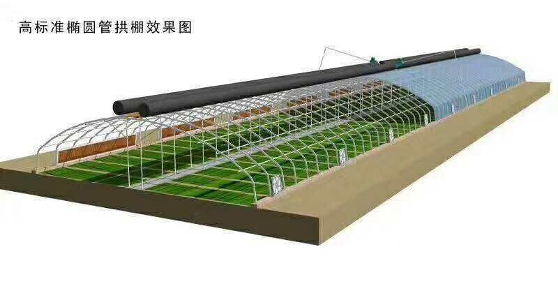 沭阳县 厂家直销养殖大棚欢迎新老客户光临