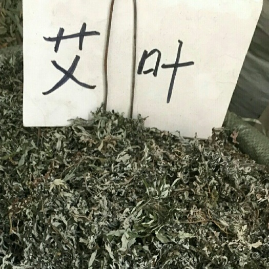 安国市苦艾 小叶艾草