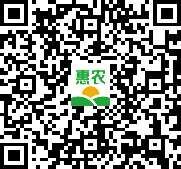 昌吉市西瓜红红薯苗 常规种（一级） ≥99.5% ≥90%