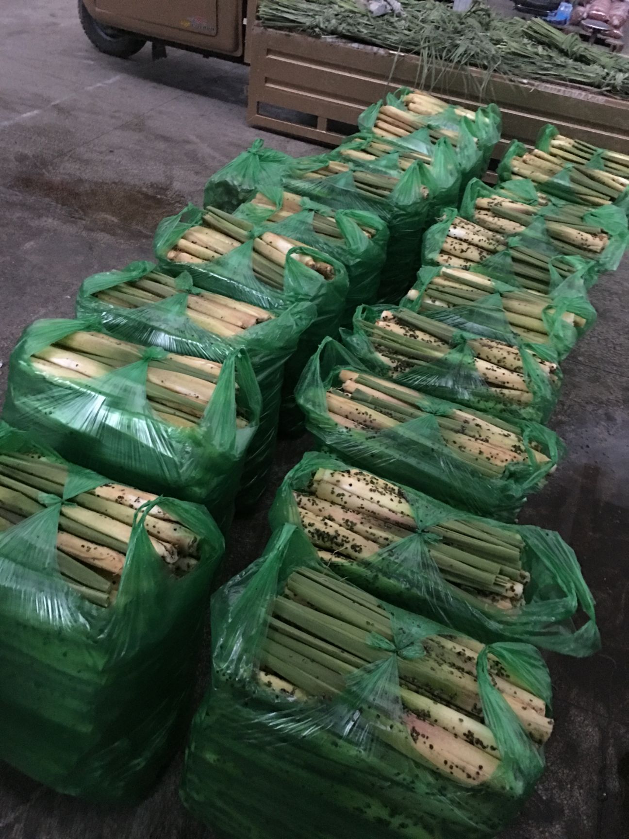 锡茭  25-35cm 才上市。越长越漂亮。