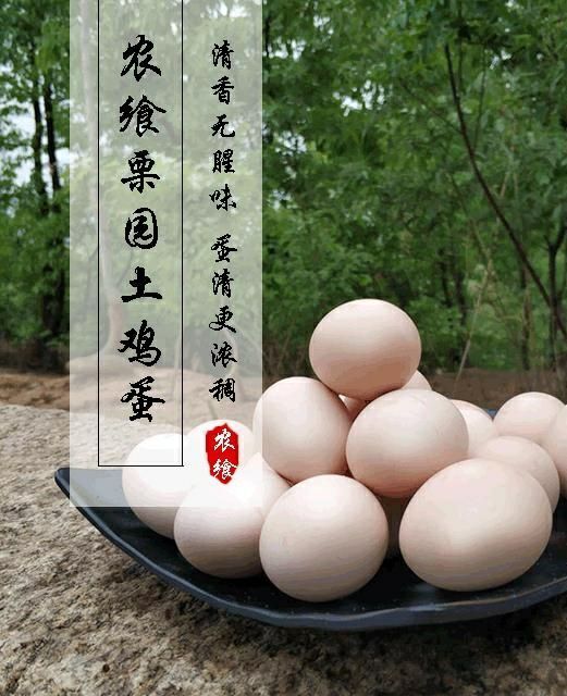 桐柏县 栗园散养，纯粮土鸡蛋