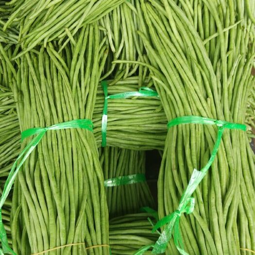 建瓯市绿龙豆角 无公害
