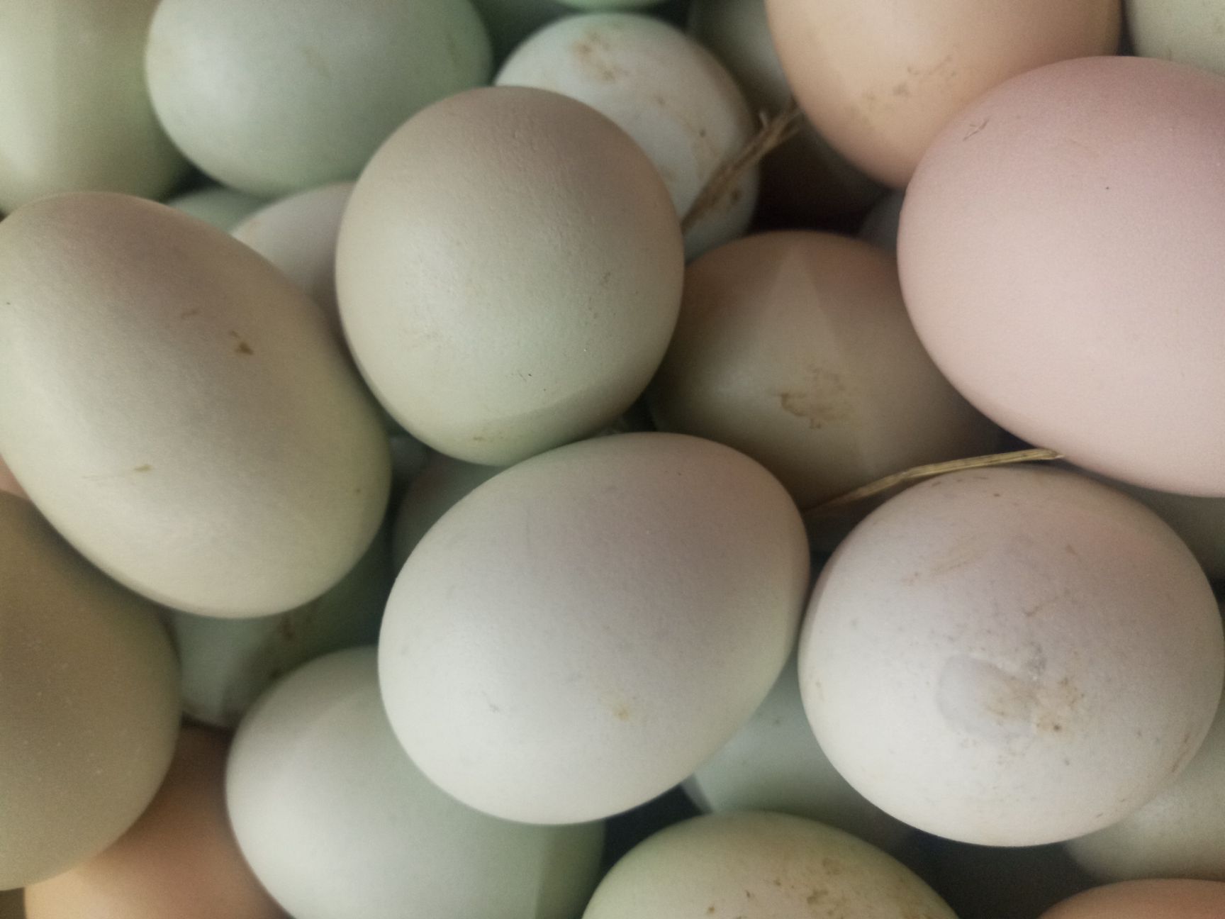 山地鸡鸡蛋  食用 箱装 （30个/箱）