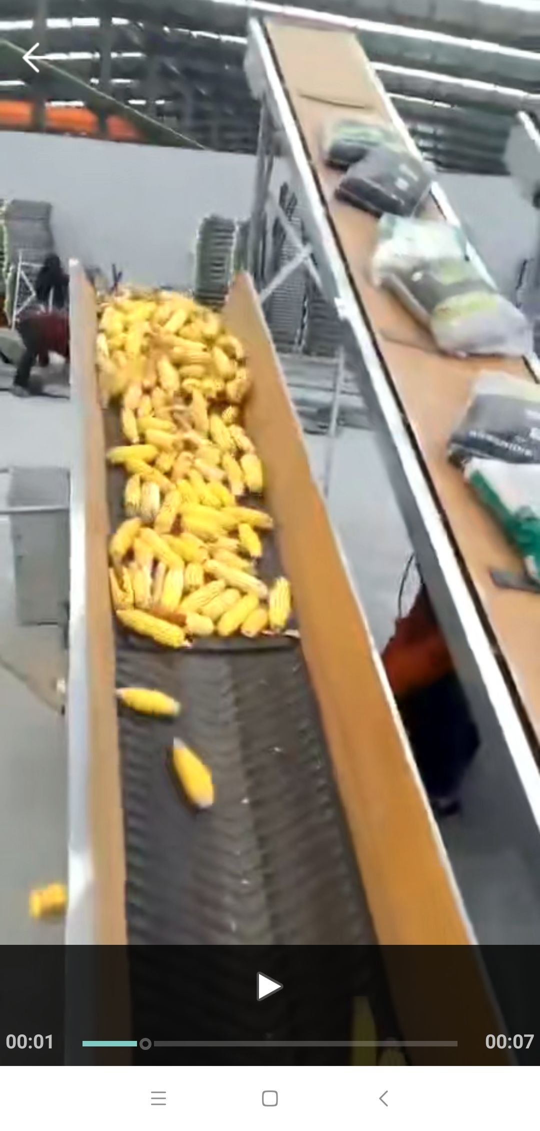  小型输送机 传送带 上散料 上楼梯 上箱子 上粮食  厂家