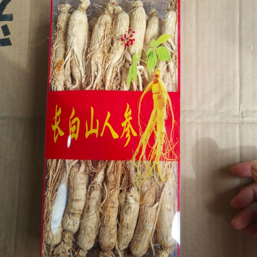 安国市.批发长白山人参盒装500克包邮生晒参白参各规格泡水煮汤
