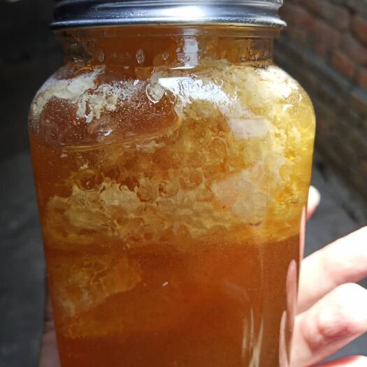澜沧县 云南普洱野生蜂蜜，假一赔十，做假猪狗不如