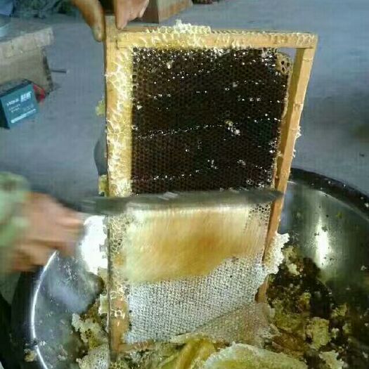 通化县 大量批发蜂蜜