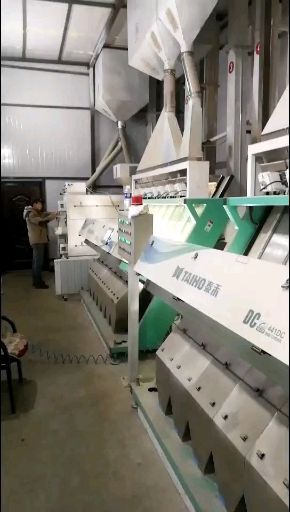 五常市稻花香二号大米 一等品 一季稻 粳米