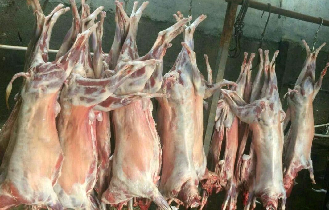  山羊肉