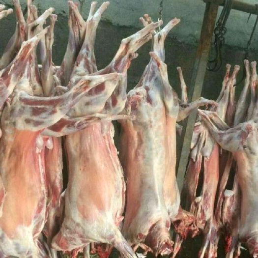 莒县 山羊肉