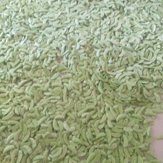 南漳县绿扁豆 无公害！