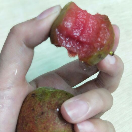 广州 三华李，量多价格优惠