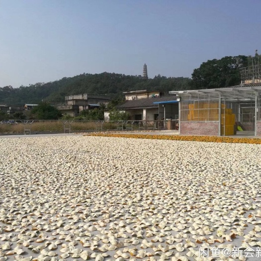 鹤山市 货真价实，真正的原产地老树陈皮