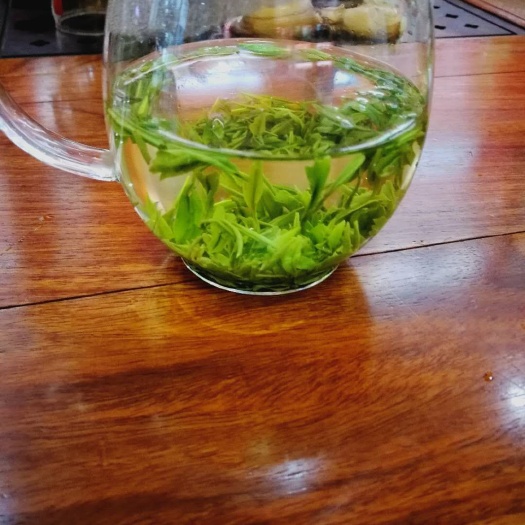 利川市狗牯脑茶 高山茶