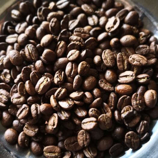咖啡豆  烘焙豆