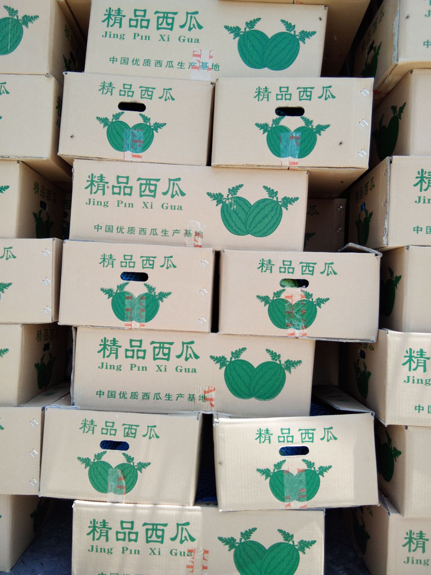 大量供应L600、2k、西瓜