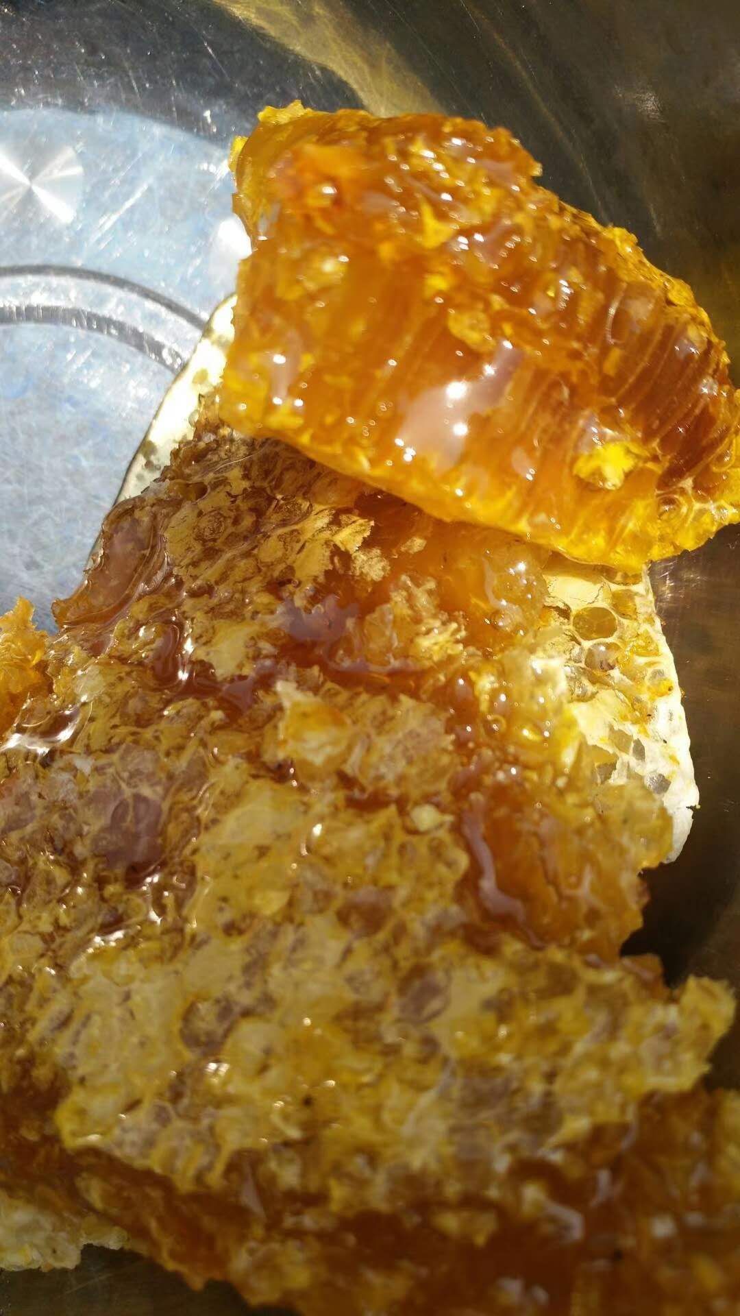 云南黑蜂蜜是真的吗(云南黑蜂蜜到底是真是假)
