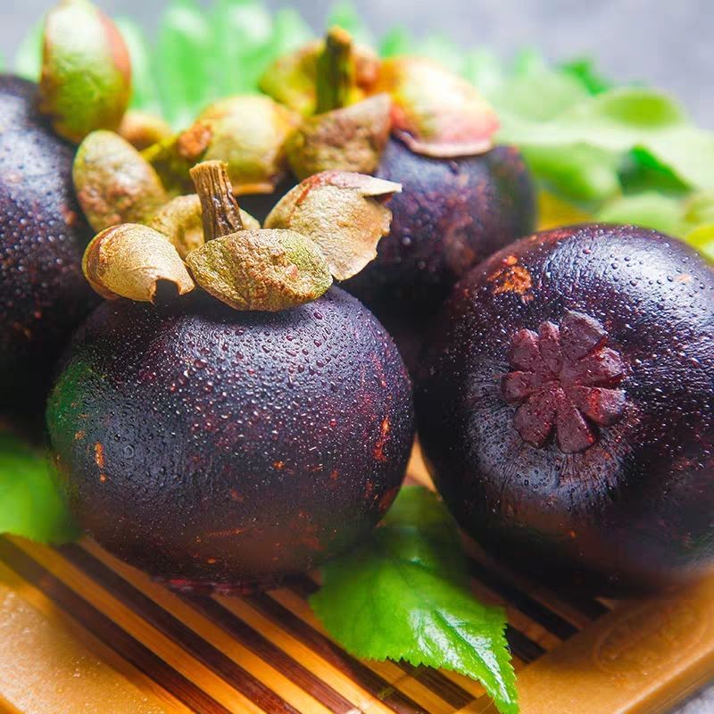 泰国山竹  泰国山竹   新鲜现摘 一件代发