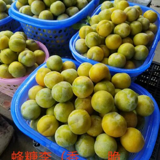 望谟县 蜂糖李=甜得像像初恋