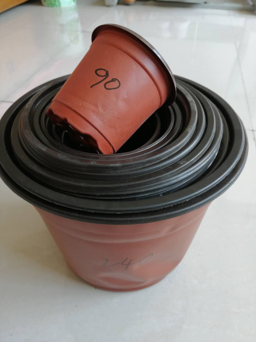 营养钵/营养杯 双色杯90号，7分一个，一件5000个，全国各地包邮！利达