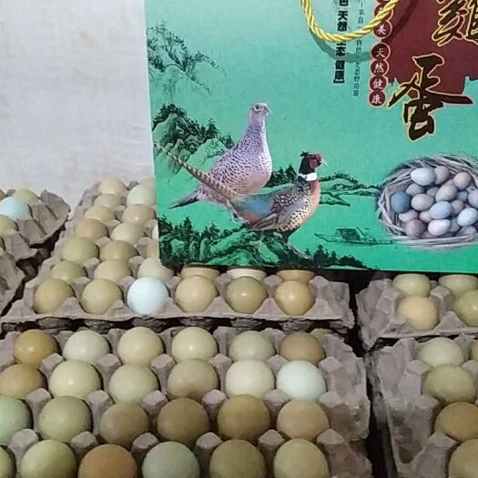 商河县土鸡蛋  保证质量新鲜山鸡蛋