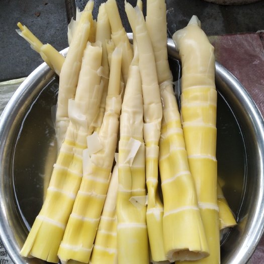 光泽县雷竹笋 雷笋经过烧熟，漂去碱水，吃起来不麻嘴，鲜美脆嫩！