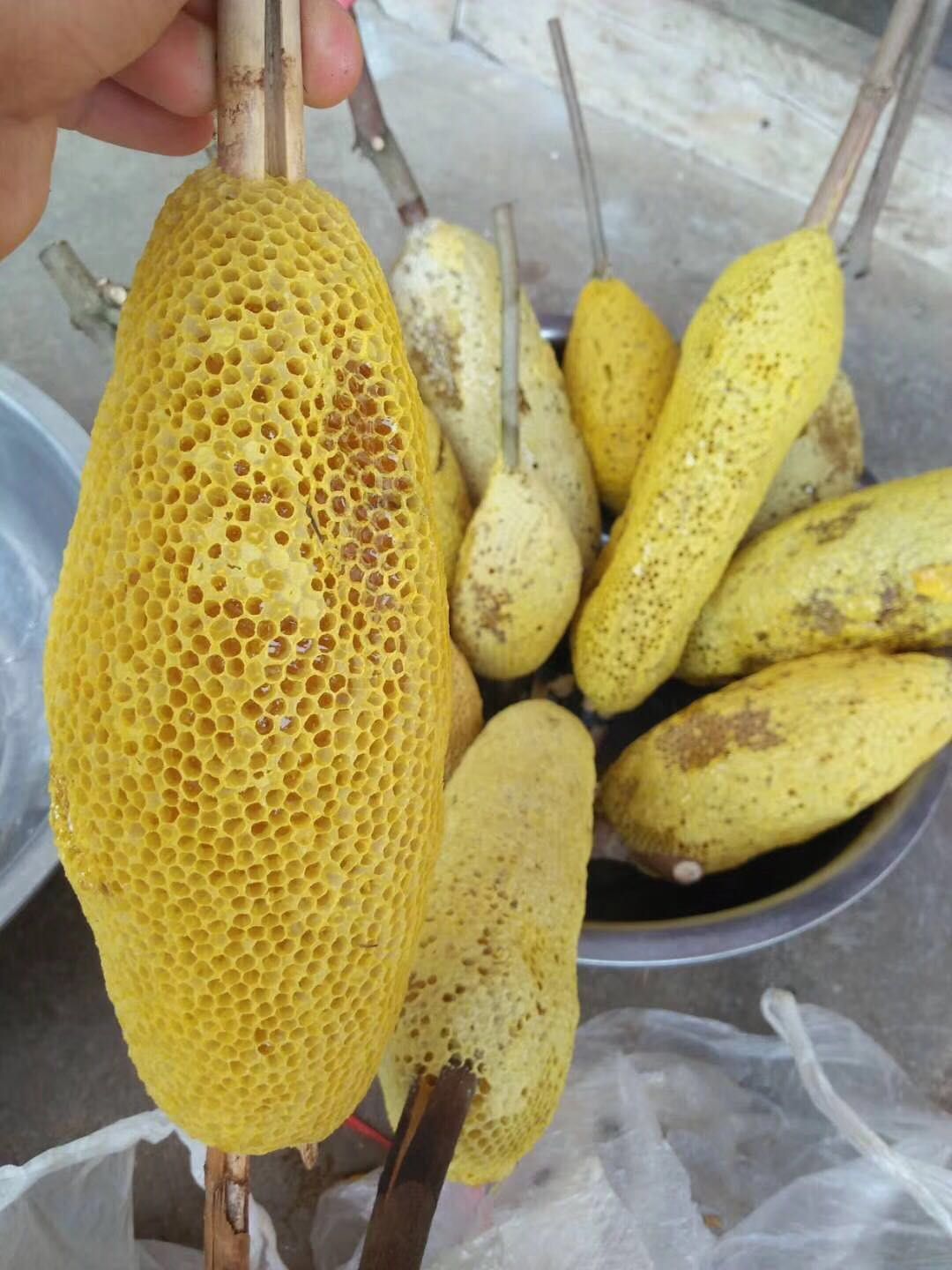 梦见很多野生蜂蜜什么意思(梦见好多野蜜蜂是什么预兆)