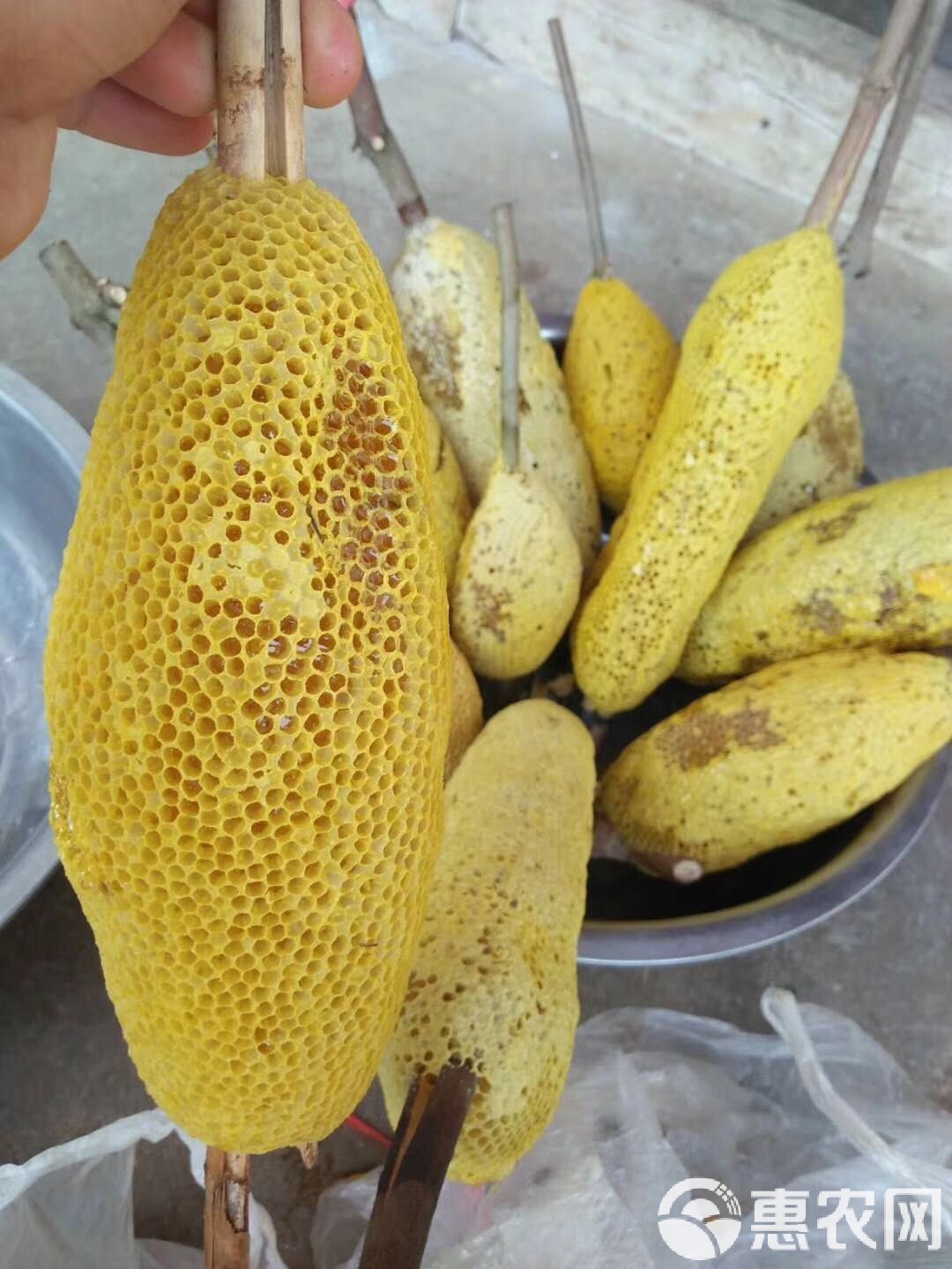 梦见很多野生蜂蜜什么意思(梦见好多野蜜蜂是什么预兆) 梦见很多野生蜂蜜什么意思(梦见好多野蜜蜂是什么预兆)