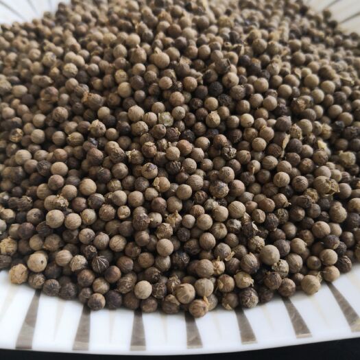 河口县 调味品香料胡椒脱皮白胡椒越南