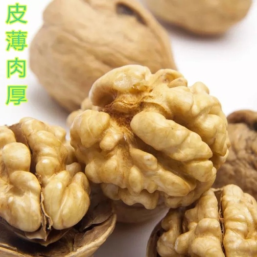 永济市 2018山西运城薄皮新核桃农家自产自晒颗粒饱满核桃包邮！