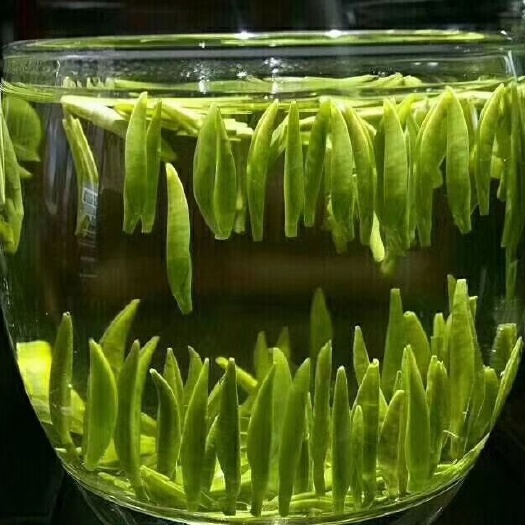 利川市大金针 懂茶的人就不用多说