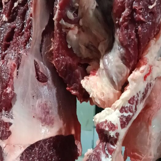 汕头牛肉丸 新鲜牛肉制作