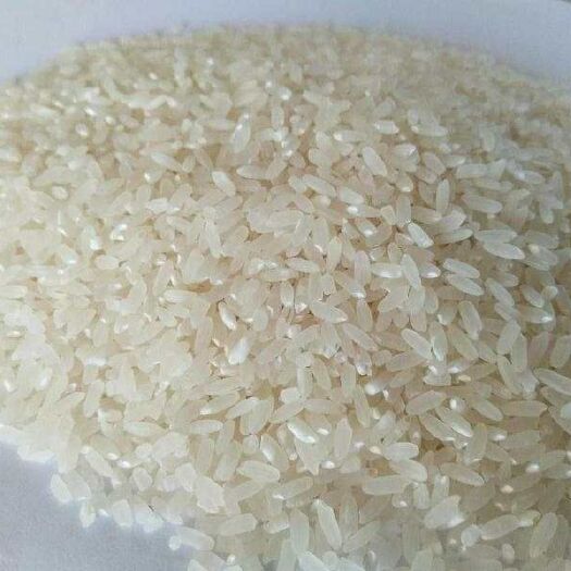 彰武县珍珠香粳米 一等品 一季稻 粳米