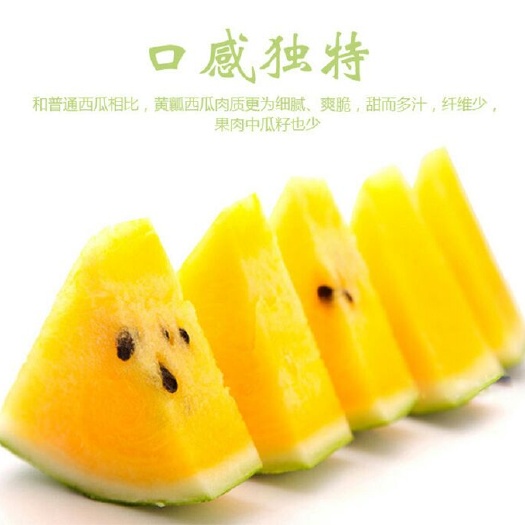 樟树市 特小凤黄瓤黄肉西瓜种子 金小兰早熟小型礼品瓜皮薄汁多甜爽。